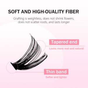 RL-50P SET - Image 4