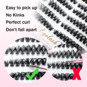 RL-50P SET - Image 5